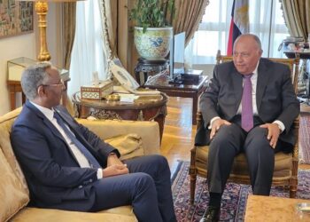 Shoukry asserts Egypt’s full support to Somalia in combatting terrorism