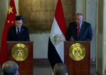 Egyptian, Chinese FMs underline profound co-operation relations in all fields