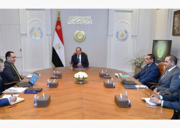 Sisi follows up on efforts to support local trawler industry production