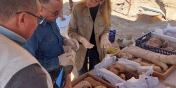 Director of UNESCO Regional Bureau visits Saqqara antiquities area