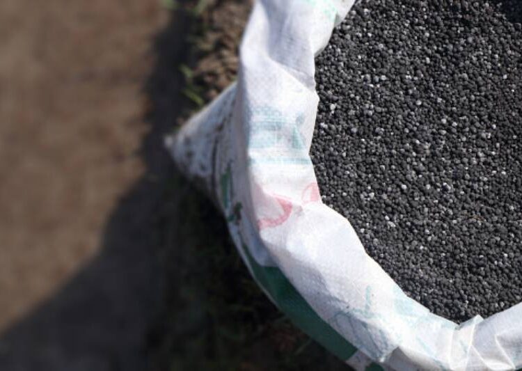 State supports farmer through providing fertilizers at suitable prices 2 - Egyptian Gazette State supports farmer through providing fertilizers at suitable prices 1 - Egyptian Gazette