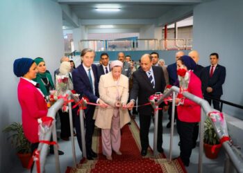 Cairo International Airport going green