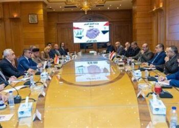 Egypt, Iraq discuss aspects of military co-operation