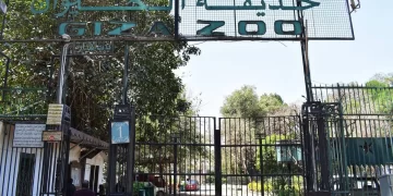 Govt denies uprooting trees of Giza Zoo 1 - Egyptian Gazette Govt denies uprooting trees of Giza Zoo