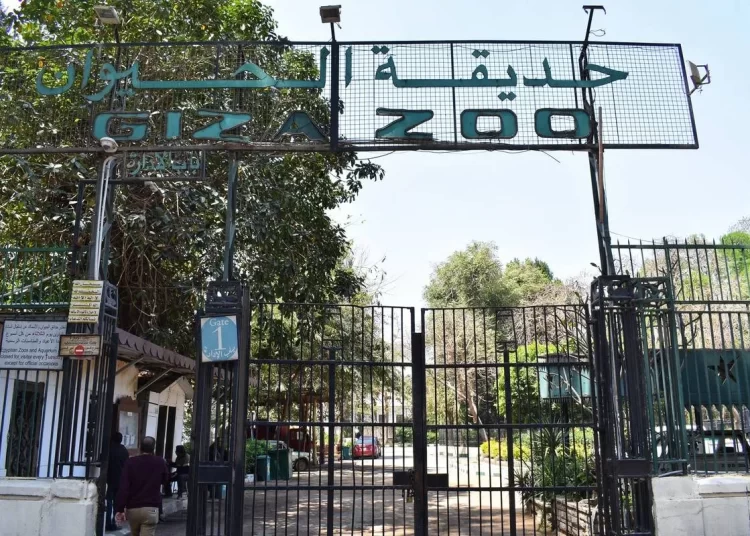 Govt denies uprooting trees of Giza Zoo 1 - Egyptian Gazette