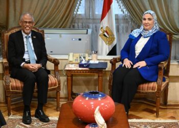 Egypt, Singapore review programmes supporting family stability