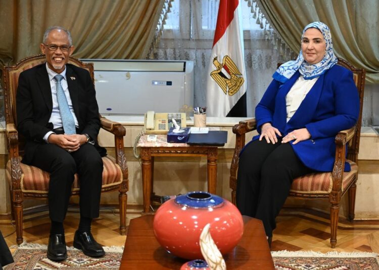 Egypt, Singapore review programmes supporting family stability 1 - Egyptian Gazette