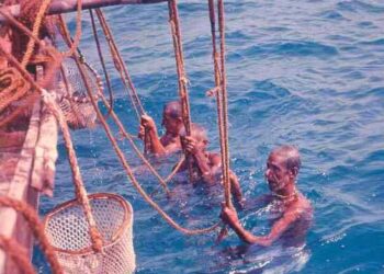 In Bahrain, a thriving natural pearl trade and a glowing national dream