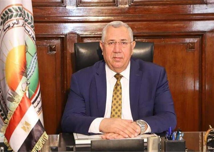 135,000 tonnes of corn, soy released last week 1 - Egyptian Gazette