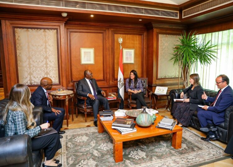 Bid to stimulate private sector development role 1 - Egyptian Gazette International Co-operation Minister Rania al-Mashat during her meeting on Monday with Cheick-Oumar Sylla, who is International Financial Corporation (IFC) regional director for North Africa.