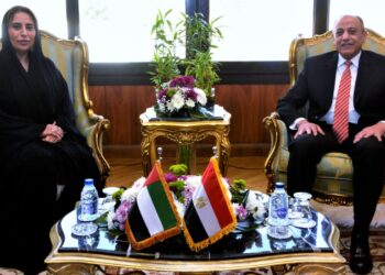 Egypt, UAE keen to boost air transport links