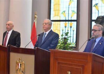 Mishri: We thank Egypt for helping Libya reach clear constitutional base