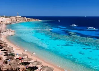 Italy’s Open water swimming team sets up training camp in Sharm El-Sheikh