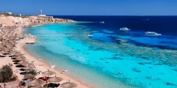 Italy's Open water swimming team sets up training camp in Sharm El-Sheikh 1 - Egyptian Gazette Italy’s Open water swimming team sets up training camp in Sharm El-Sheikh