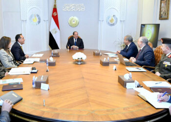 Sisi calls for strict adherence to agricultural export controls