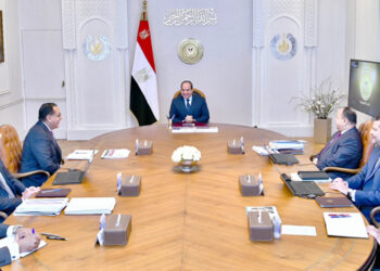 Sisi reviews progress in implementation of IMF-backed economic reform programme