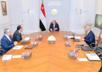 Sisi calls for boosting SCZone’s investment  potentials, green fuel production projects   
