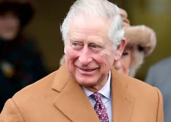 UK’s king asks windfarm deal profits be directed to public