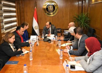 Egypt, WB discuss general frameworks of national strategy for industrial development