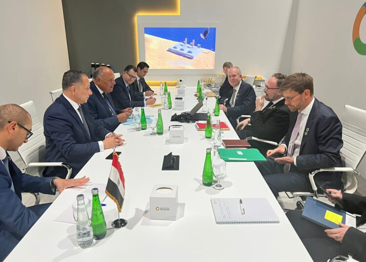 Shoukry sheds light on role of int'l institutions in drumming up support for climate work 2 - Egyptian Gazette Shoukry sheds light on role of int'l institutions in drumming up support for climate work 1 - Egyptian Gazette