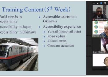 Training in social  participation of the disabled