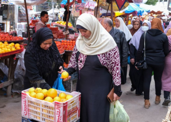Official to MENA: High demand on Egyptian agriculture products in global markets