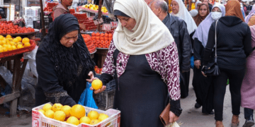 Official to MENA: High demand on Egyptian agriculture products in global markets