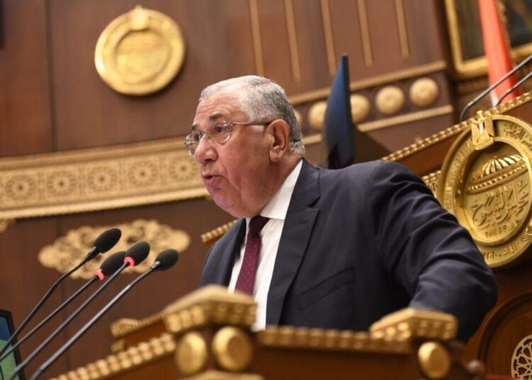 Agriculture min.: State exerts efforts to achieve self-sufficiency 1 - Egyptian Gazette
