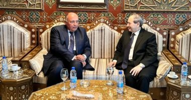 Shoukry asserts Egypt's backing for Syria's government, people in counter quake ordeal 2 - Egyptian Gazette Shoukry asserts Egypt's backing for Syria's government, people in counter quake ordeal 1 - Egyptian Gazette