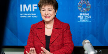 Egypt takes important steps to avoid financial risks: IMF