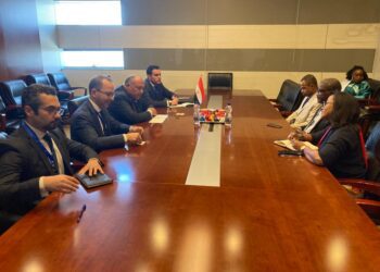 Shoukry stresses Egypt’s keenness on enhancing ties with Rwanda