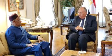 Shoukry calls on foreign parties not to hijack Libya’s political process