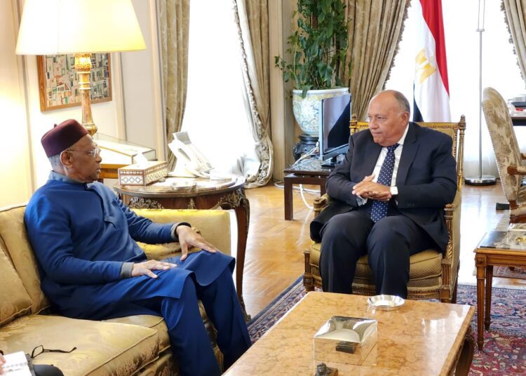 Shoukry calls on foreign parties not to hijack Libya's political process 1 - Egyptian Gazette