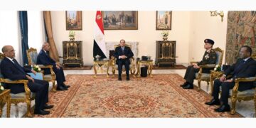 Egypt, Mauritania to strengthen security, military co-operation