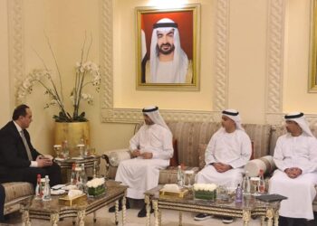 Egypt, UAE probe means to cement healthcare cooperation