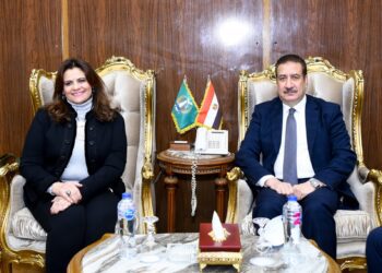 Emigration minister hails role of “Saving Boats” presidential initiative