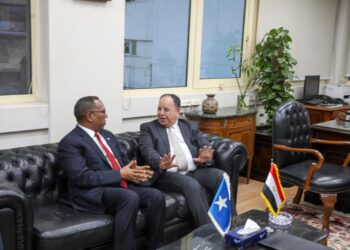 Egypt ready to provide Somalia with technical support in tax, customs domains: Finance min.