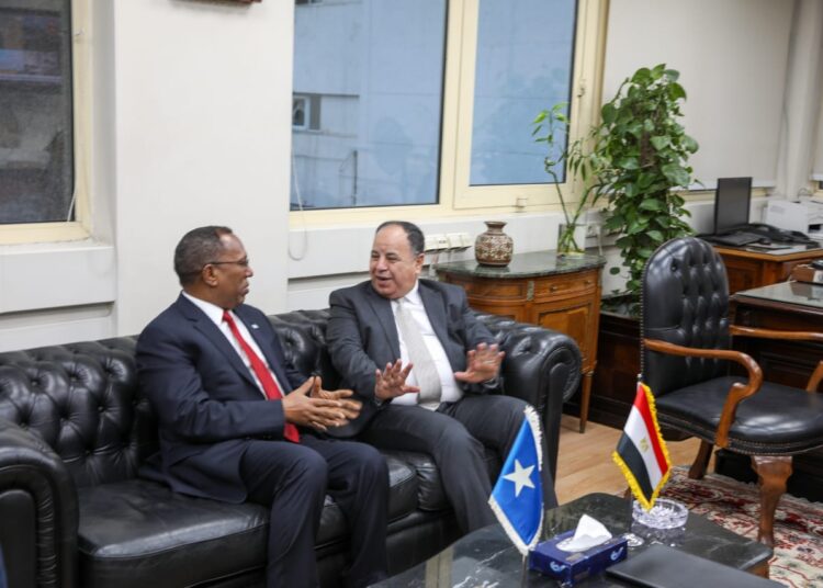 Egypt ready to provide Somalia with technical support in tax, customs domains: Finance min. 1 - Egyptian Gazette