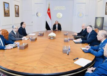 Sisi reviews co-operation vistas with Greece’s Copelouzos Group