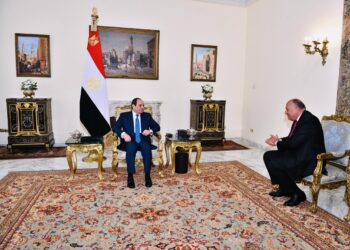 Shoukry briefs Sisi on import outcomes of Africa Union Summit