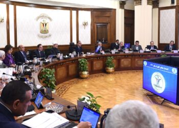 PM: Sisi’s recent overseas tour reflects keenness on boosting economic co-operation