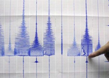 No tsunami due any time soon