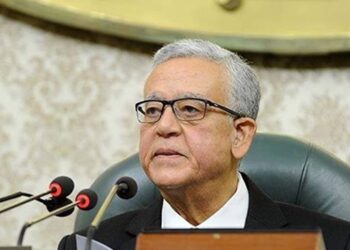 Egypt formulated comprehensive vision to save Arab countries form chaos: Parl’t speaker