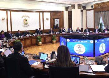 Cabinet approves re-allocating state-owned lands