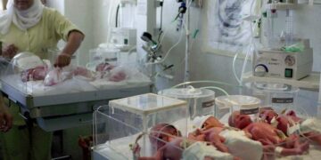 Overpopulation: Step in the right direction 1 - Egyptian Gazette Overpopulation: Step in the right direction