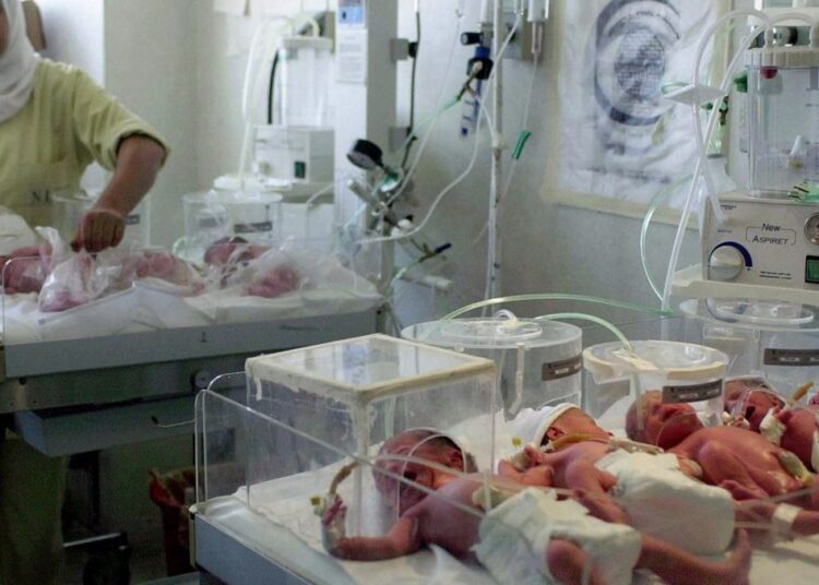 Overpopulation: Step in the right direction 1 - Egyptian Gazette