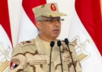 Sinai development runs in tandem with anti-terror efforts – official