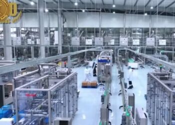 Sisi reaffirms commitment to provide strategic stock of basic commodities