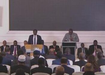 At workshop in Cairo,  Sudanese politician stresses importance of establishing security in eastern Sudan