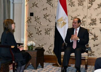 Sisi stresses support for development efforts in Tunisia